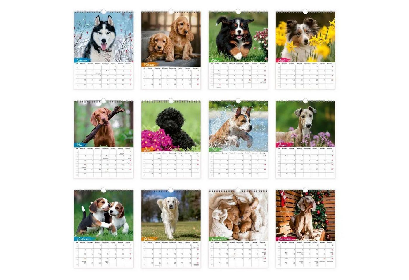 Trötsch Verlag Wandkalender TRÖTSCH - Notizkalender zum Hängen Hunde 2027 Bild 2