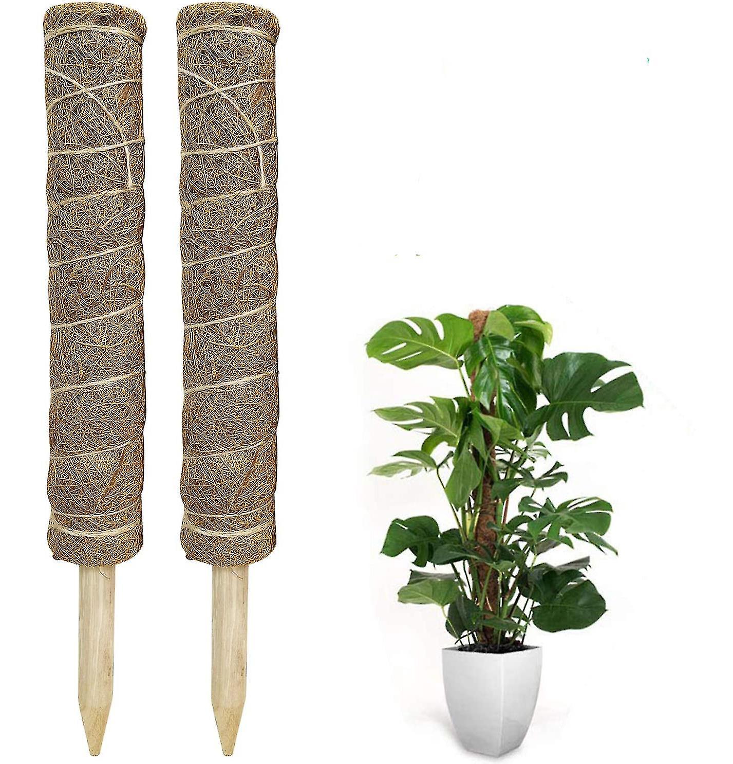 Schaumstoffstäbe, 2 Stück À 40 Cm, Kletterhilfe Für Monstera, Ausziehbar