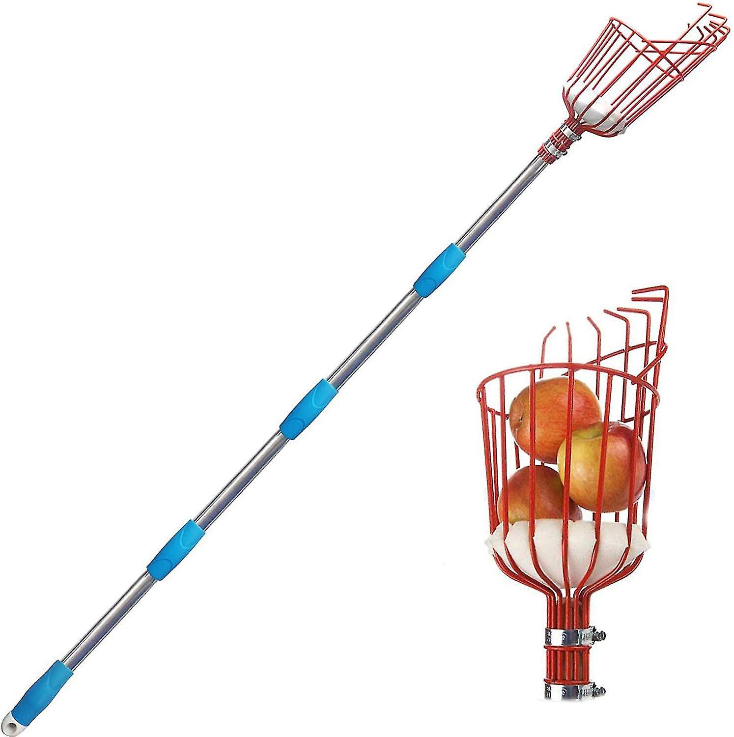 Obstpflücker – Höhenverstellbarer Obstpflücker Mit Großem Korb – Apfel-, Orangen- Und Birnenpflücker – 2,4 M