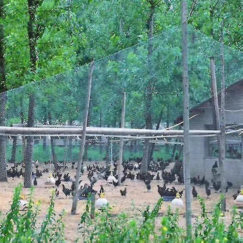 Dickes Vogelschutznetz Für Garten- Und Feldumzäunungen, Schutz Vor Vögeln, Rehen, Katzen, Hunden Und Hühnern, 4 X 5 M