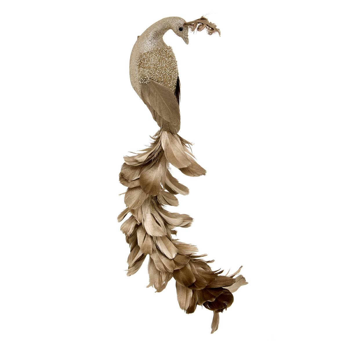 Sdn Feder Pfau Champagner 34cm - Feeric Lights & Christmas