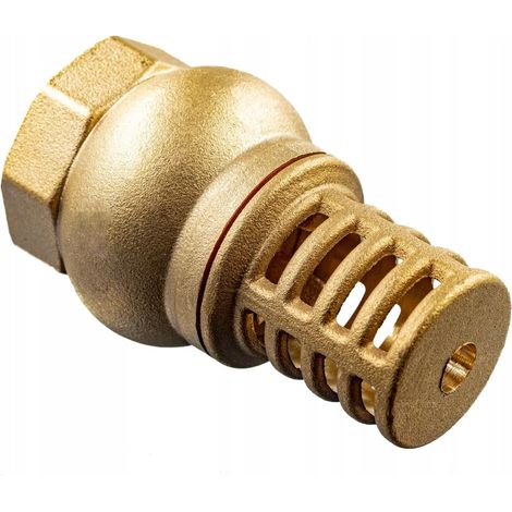 Fußventil 1″ Messing Mit Sieb Und Rückschlagventil – Saugfilter Für Pumpensysteme