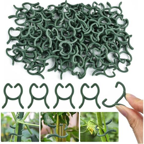100 Stück Grüne Pflanzenclips, Kletterpflanzenclips 2 X 2,6 Cm, Pflanzenstützclips, Gartenpflanzenclips Zur Unterstützung Von Gemüse Und Obst (klein)