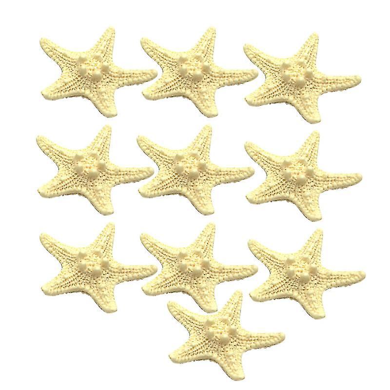 10 Stück Seestern-kühlschrankmagnete
