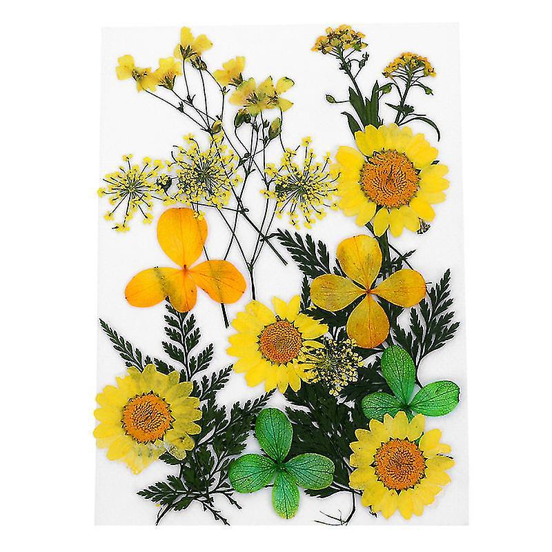 1 Set Gepresste Blumen