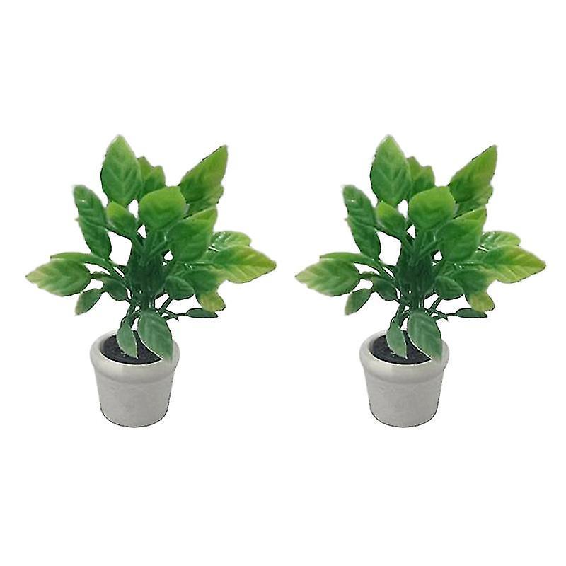 2 Mini-topfpflanzen