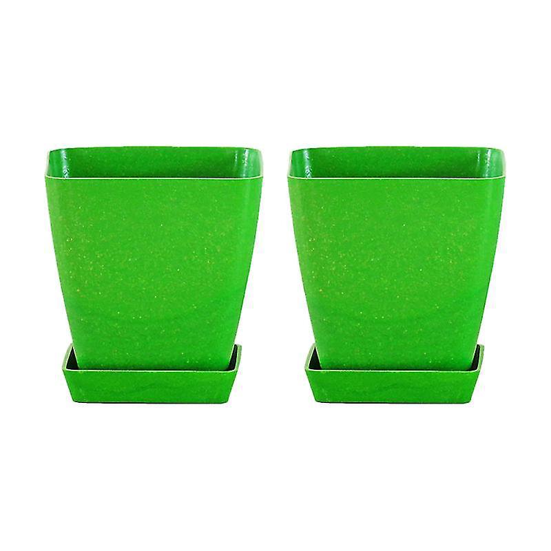 2er-set Sukkulententöpfe