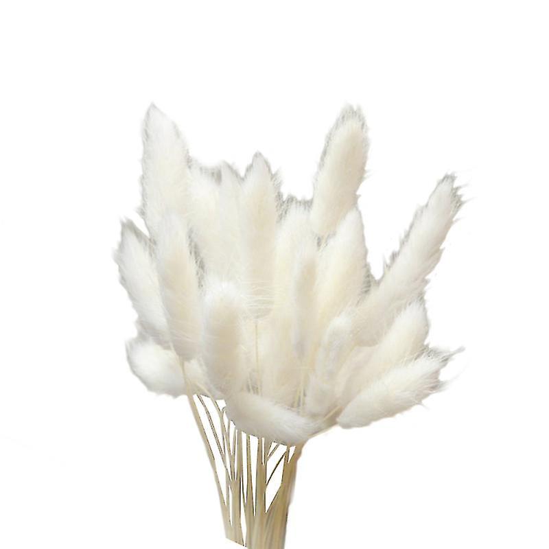 Die Neuen 20 Getrockneten Blumen