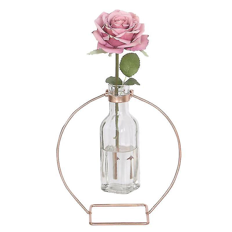 Die Neue 1-teilige Wasserpflanzvase