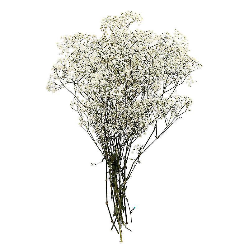 1 Stück Dekoration Aus Konservierten Blumen