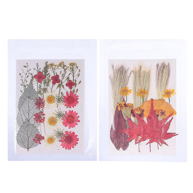 2 Sets Trockenblumen