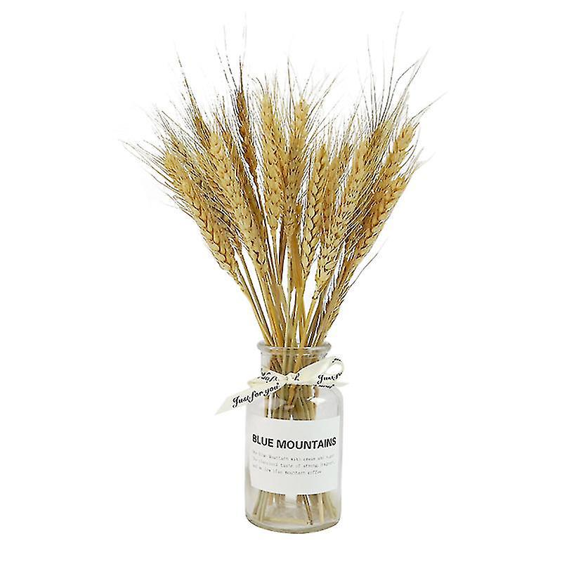 1-teiliges Trockenblumen- Und Vasen-set