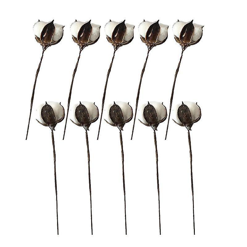 20 Stück Getrocknete Baumwollstängel