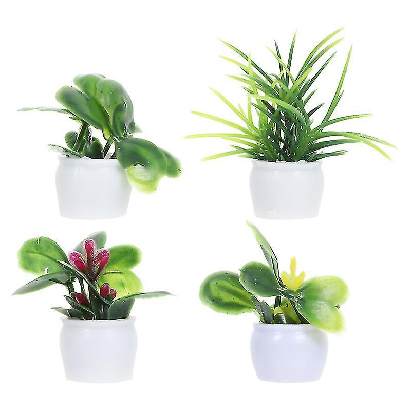 4 Mini-hauspflanzen Im Topf