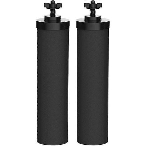 Berkey Schwarzes Natürliches Wasserreinigungsfilterelement (2 Stück)
