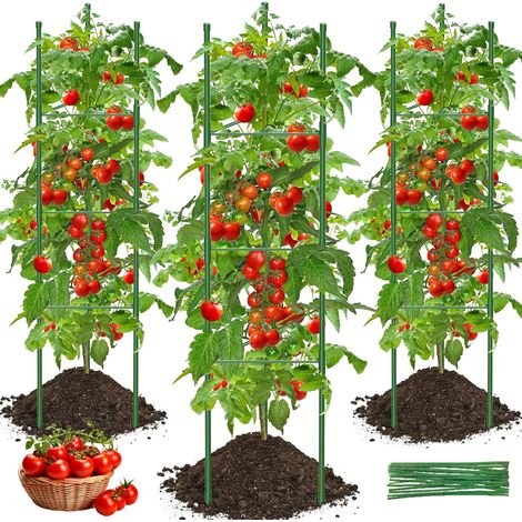 Apex Tomatenstütze, Dreiteilig, 120 Cm Hoch, Drei Stangen, Sechs Klemmen.