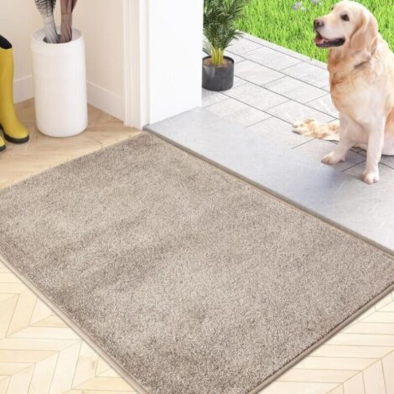 Schmutzfangmatte, Rutschfester, Maschinenwaschbarer Bodenbelag, Eingangsmatte Mit Weichen, Saugstarken Mikrofaserfasern Für Hunde, Eingang, Tür Und Flur, Beige, 50 X 80 Cm