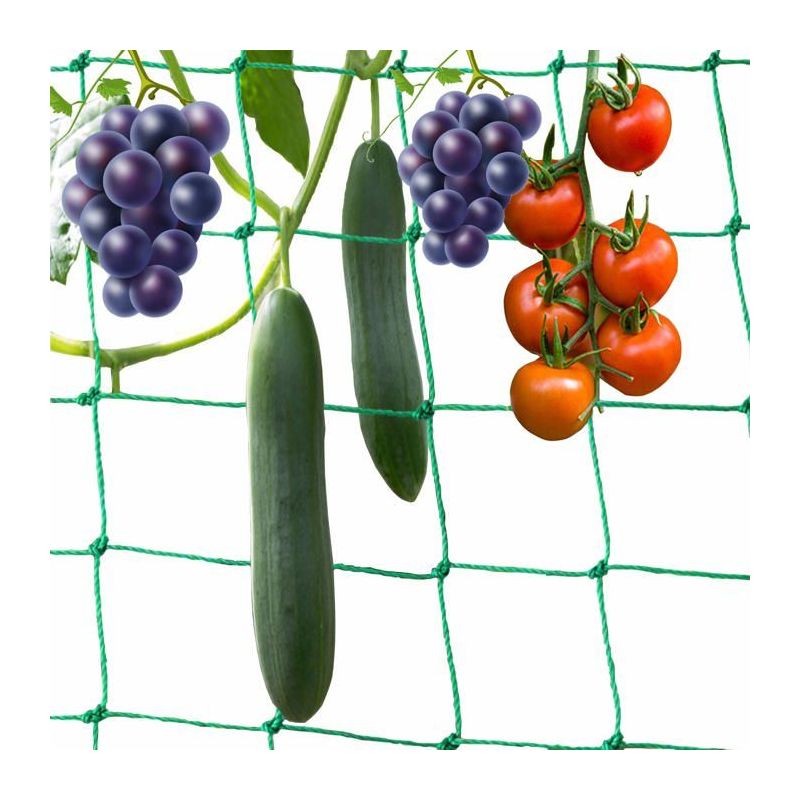 Kletternetz Für Den Garten 5 X 2 M - Maschenweite 10x10 Cm, Grünes Polyethylen Für Tomaten & Gurken