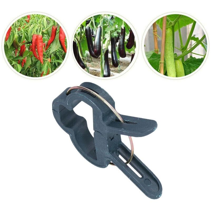 100 Stück Pflanzenhalter-clips, Gartenbefestigungsklammern, Gartenzubehör, Veredelungswerkzeuge Für Gewächshäuser