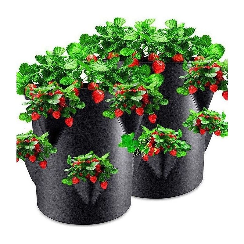 2 Pflanzsäcke Aus Vlies Für Erdbeeren - 45 X 35 Cm - Säcke Für Garten, Balkon, Pflanzen, Erdbeersäcke, Knoblauch, Zwiebeln, Kräuter