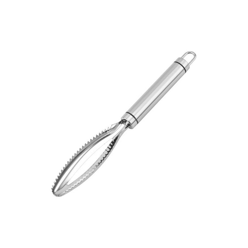 2 Stück Edelstahl-handschaber, Fischschuppen-entferner, Küchenhelfer Mit Sägezahn-design