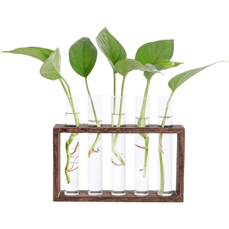 Reagenzglas-vase Aus Glas Mit Holzständer Für Hydroponische Pflanzen, Vintage-reagenzglas-vase