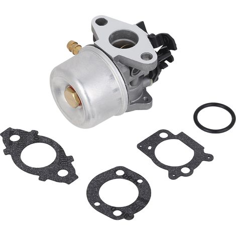 Carburateur Pour Moteur Briggs & Stratton Professional 775 (175cc)