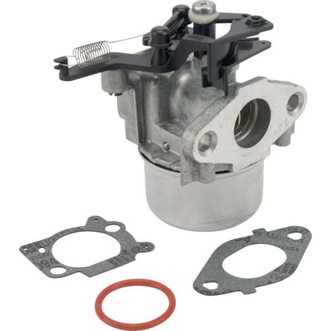 Carburateur Briggs Et Stratton 799479