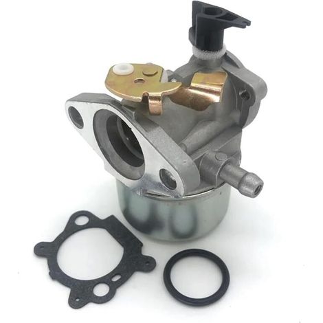 Carburateurs Pour Moteurs Briggs & Stratton Quantum - Pièces Détachées Pour Carburateurs