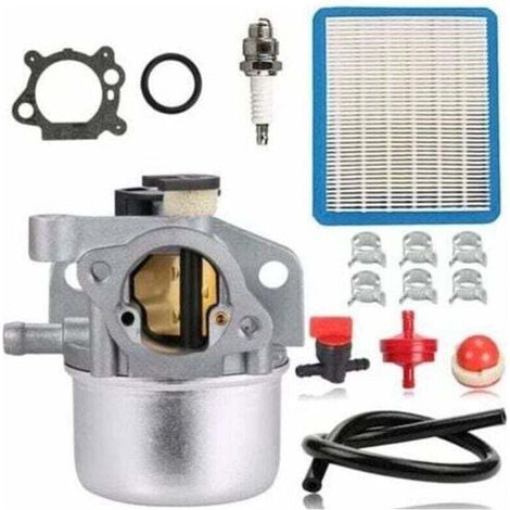 Carburateur - 1 Pièce - Pour Moteur Briggs & Stratton - Modèles 799871 799866 790845 796707 794304 122000 - Compatible Toro Recycler 22 Pouces Craftsman Tondeuse À Gazon