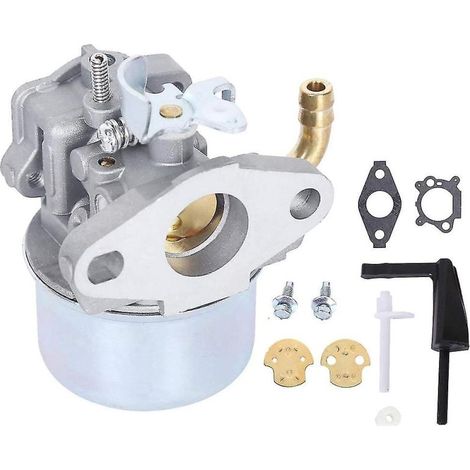 Carburateur 215369 Pour Moteur Briggs & Stratton Intek 190 Série 850