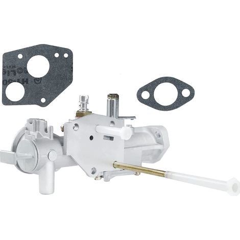 Carburateur Pour Motoculteur Briggs & Stratton 297599 299437 130251 130252