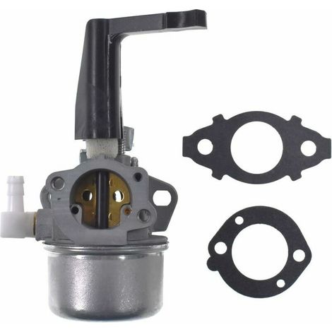 Carburateur De Remplacement Avec Kit De Joints Pour Briggs & Stratton 696065 697422 110402-0206-e1-chrom