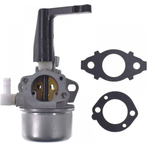 696065 Carburateur De Remplacement Avec Kit De Joint Pour