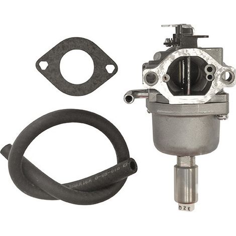 Carburateur Briggs Et Stratton 591731 - 796109