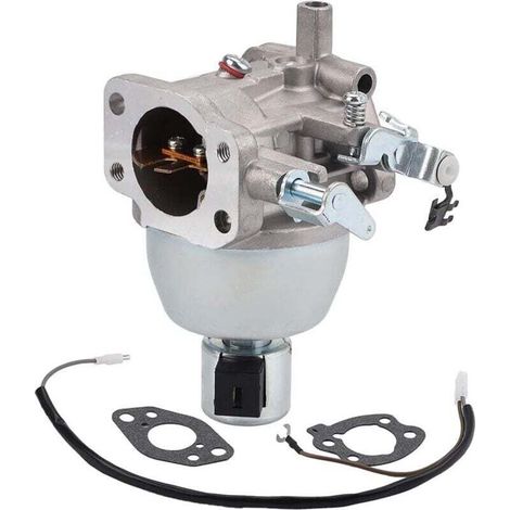 Carburateur Compatible Avec Référence 847395 Pour Modèles Bs 846280 808725 846944 Et Autres Ortviai