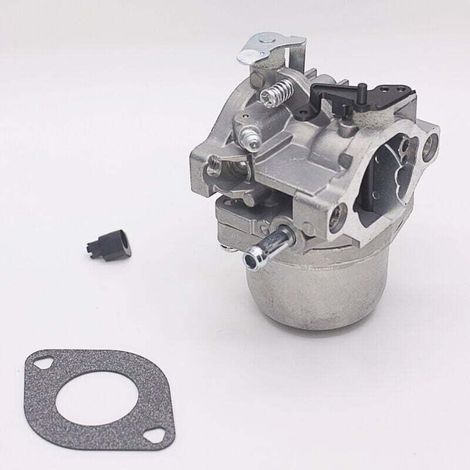 Enowelir Carburateur H814 Pour Moteur Briggs Et Stratton Type 799728 498027