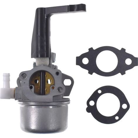 Jrl 696065 Carburateur De Remplacement Avec Kit De Joint Pour Briggs & Stratton