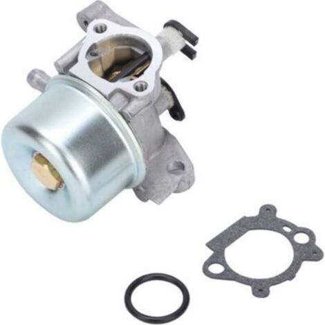 Pair - Carburateur Universel Pour Équipements De Jardin Compatible Avec Briggs & Stratton Modèles 790845 799871 799866 796707 794304 -
