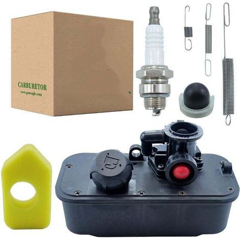 494406 Réservoir De Carburant Avec Carburateur 795477 Remplace 498809, 498809a, 498811, 494407, 494775, 497619, 699660, 794147, 794161, 795469
