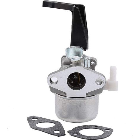 Carburateur Avec Joint De Montage Pour Briggs & Stratton 696065