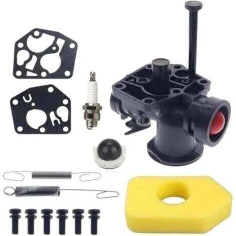 Carburateur À Starter Automatique Briggs & Stratton Modèles 795477 691859 692211 698369 794147 699660 794161 Pièce De Rechange Moteur Métallique