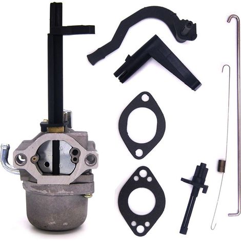 Carburateur Compatible Briggs Stratton 796323 796321 796322 699966 Pièce De Rechange Pour Moteur - Autres