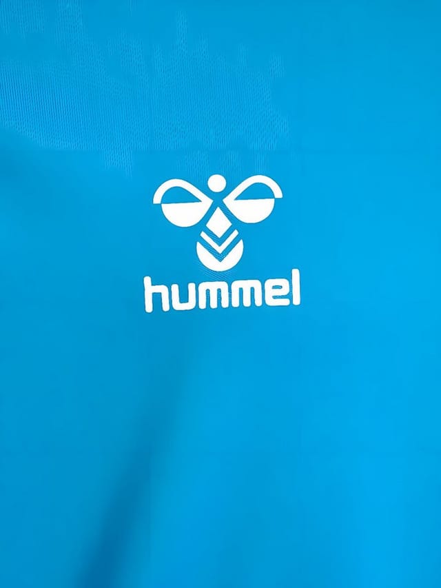 hummel Trainingsanzug Hmllogo Set Kids
