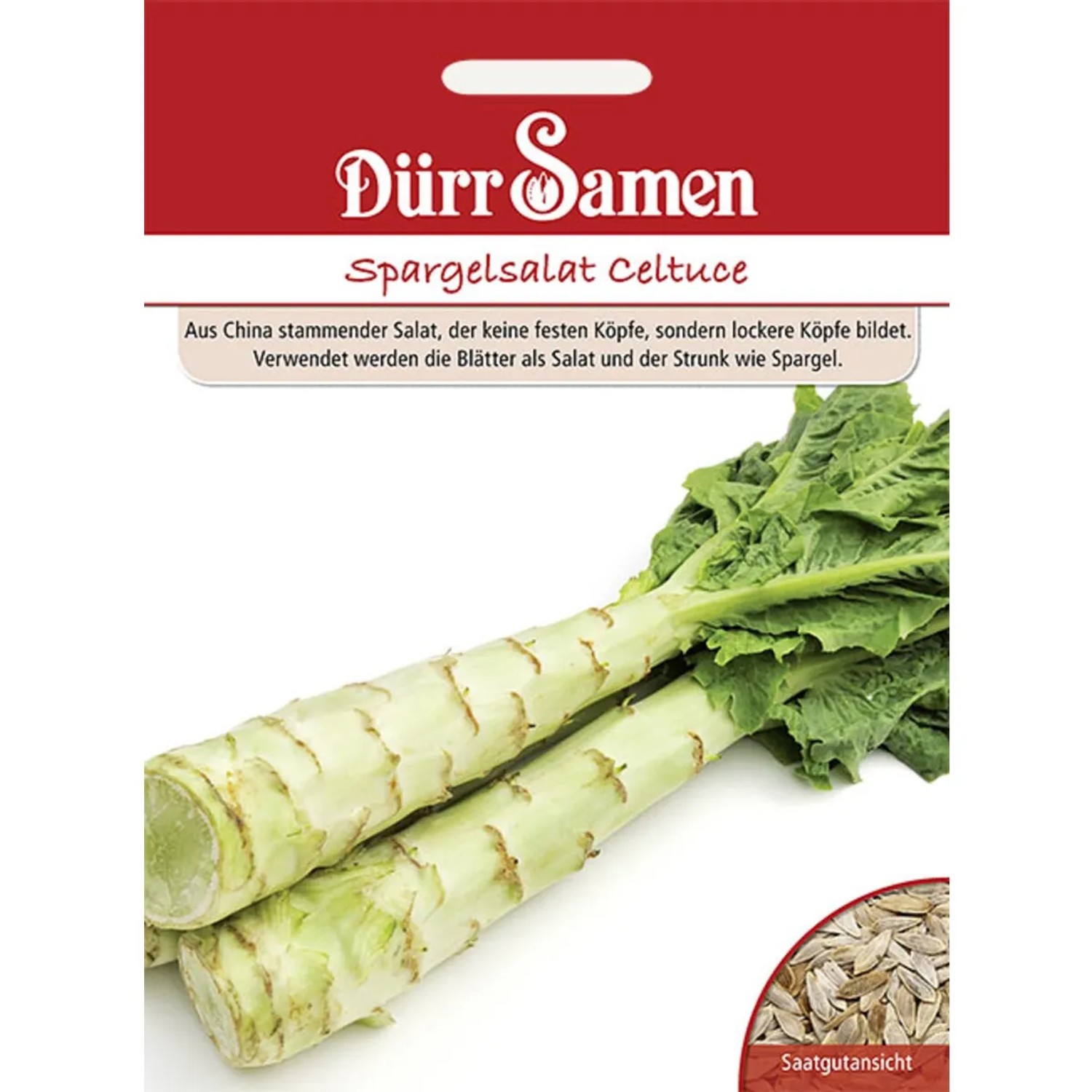 Dürr Samen Spargelsalat Celtuce Saatgut