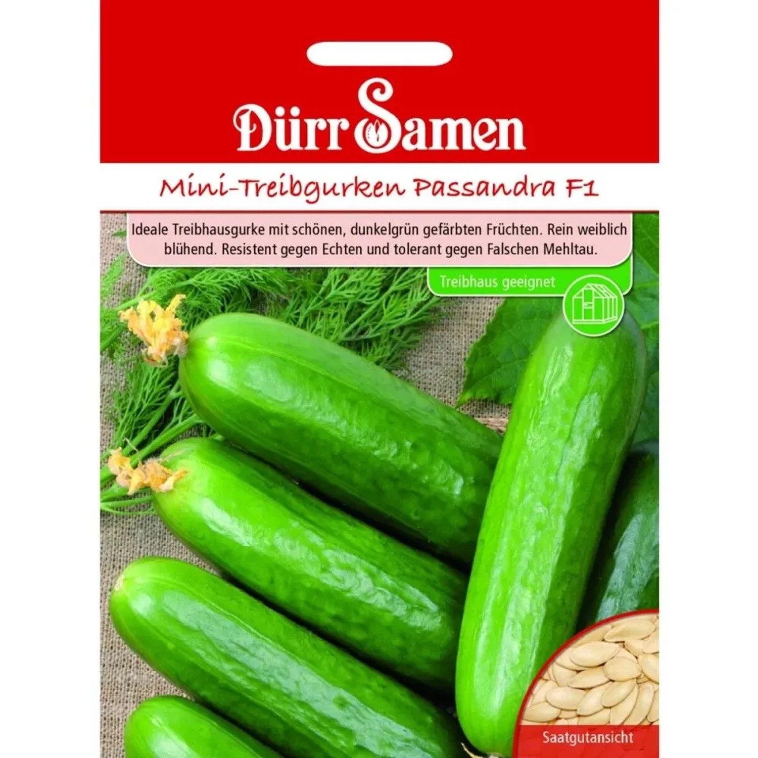 Dürr Samen Mini-Treibgurken Passandra F1 Saatgut