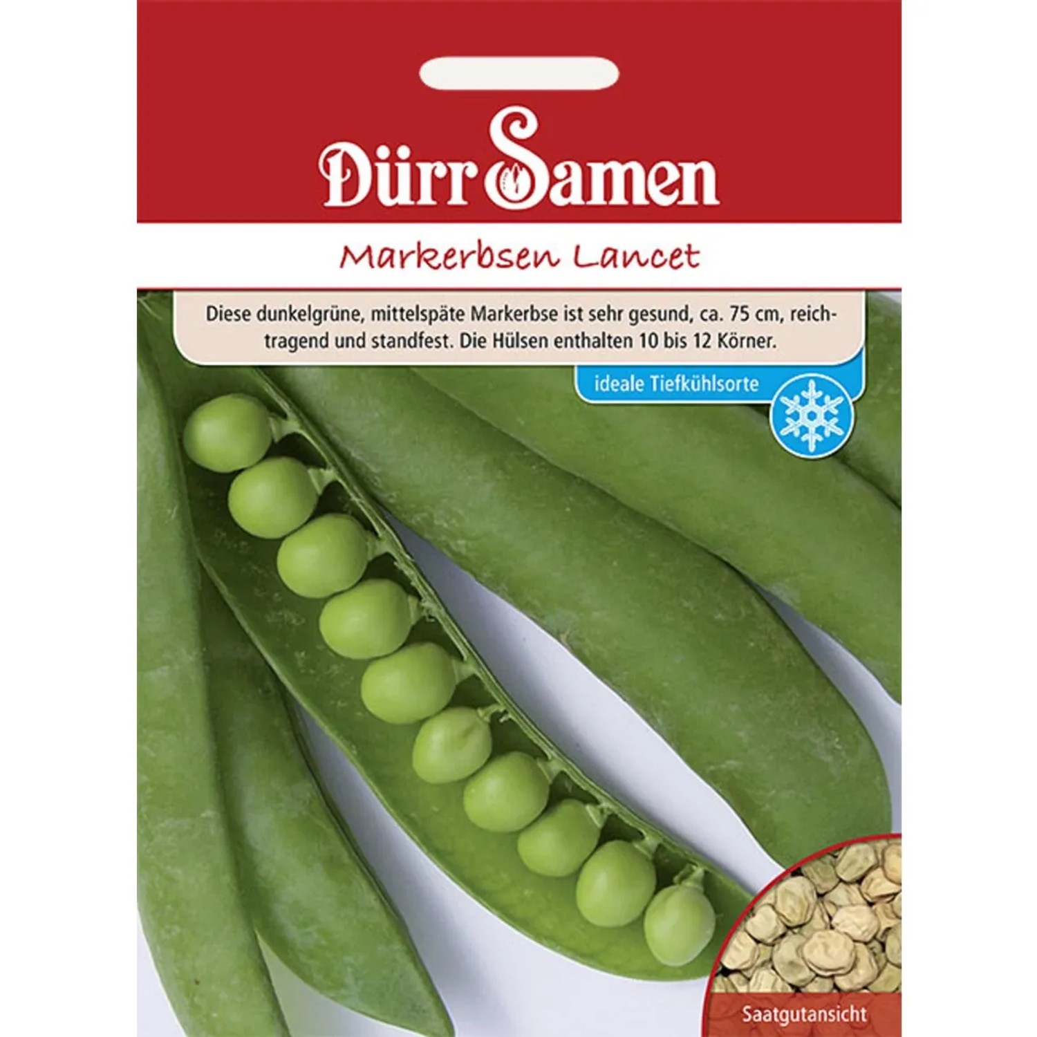 Dürr Samen Markerbsen Lancet Saatgut