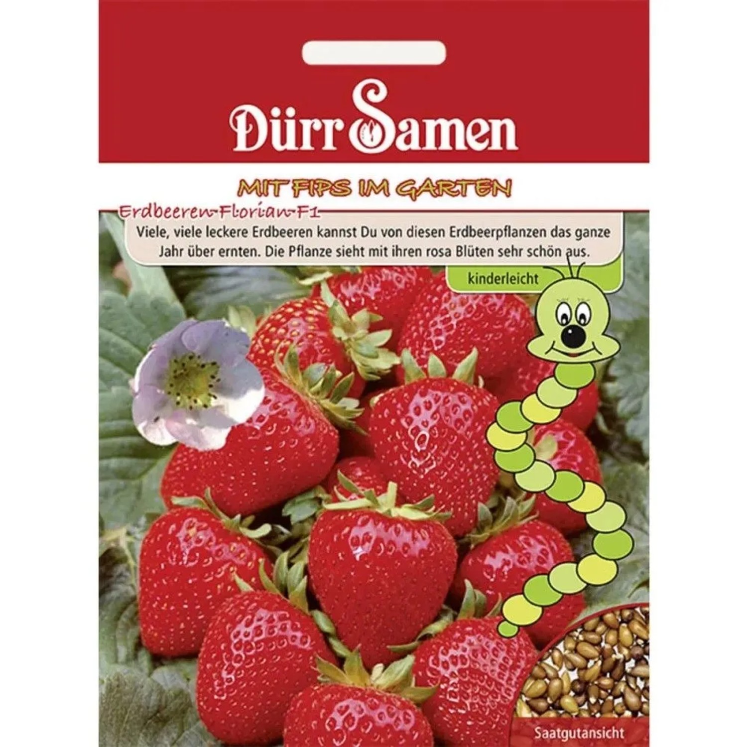Dürr Samen Kindersorte Erdbeeren Florian F1 Saatgut