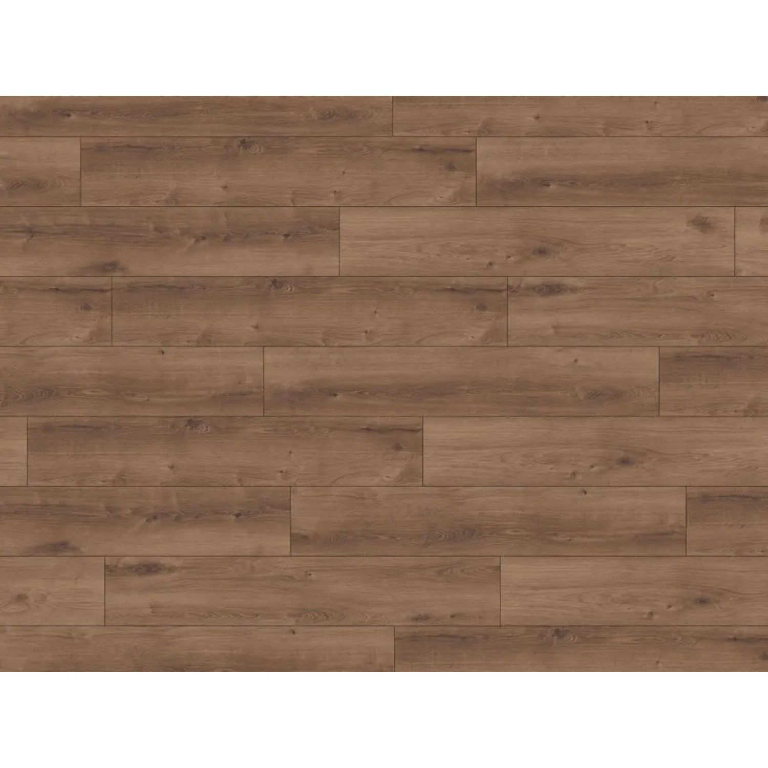 Kronotex Eiche Cedar Laminat XL-Landhausdiele Gebürstet 24,4 cm