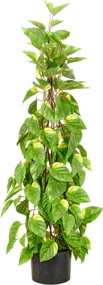 Kunstpflanze Epipremnum, Creativ green, Höhe 95 cm, in Pyramidenform Bild 2
